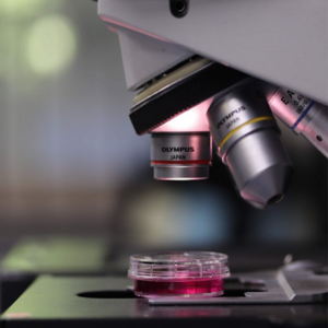 Biochem Labware