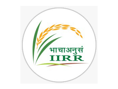IIRR