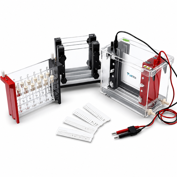 2D-gel-electrophoresis