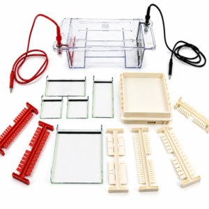 ELECTROPHORESIS-ban