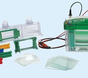 Vertical Electrophoresis 2-Gel System MP-8003
