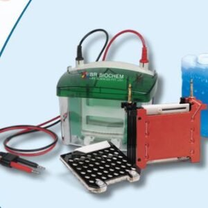 Semi Dry Western Blot System BR-SD-001