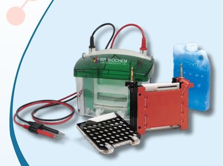 Semi Dry Western Blot System BR-SD-001